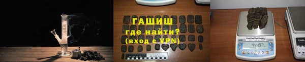 стаф Богданович