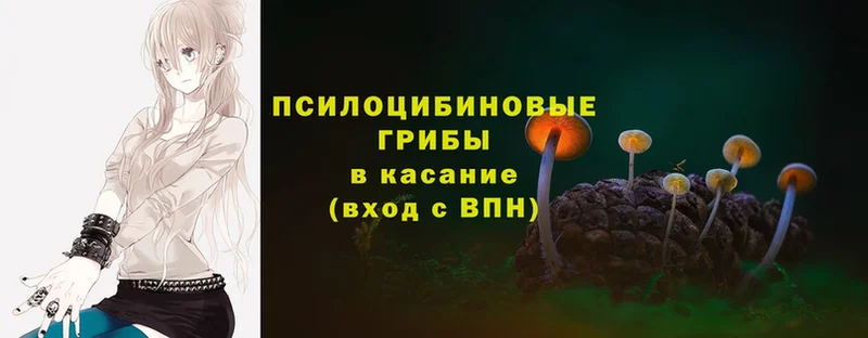 Псилоцибиновые грибы Magic Shrooms  Скопин 